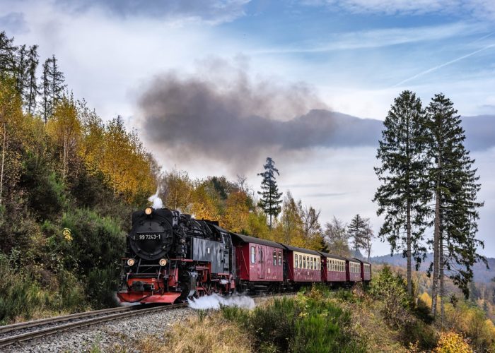 Urlaub im Harz: Kulinarische Highlights entdecken