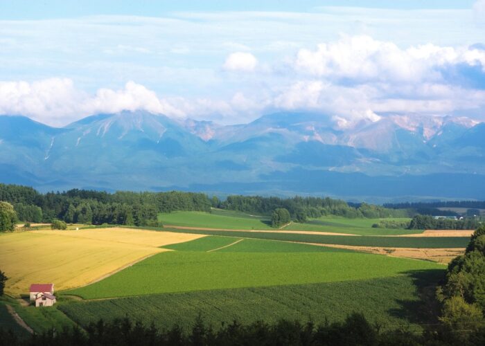 Japan von der Straße aus erleben: Dein Guide für einen unvergesslichen Roadtrip