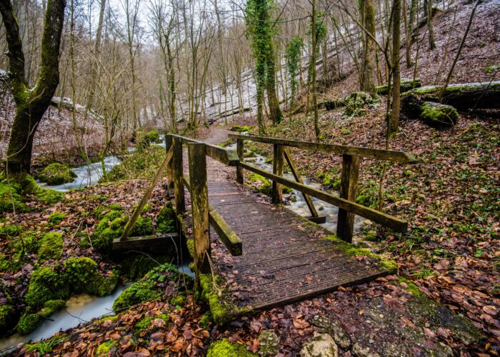 Aalen und die Ostalb entdecken: Urlaub und Ausflüge mit und ohne Hund